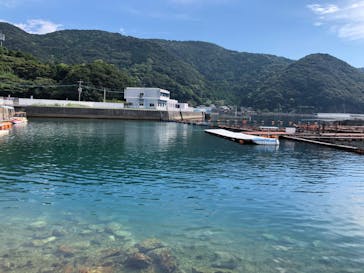 うみたま体験パーク 「つくみイルカ島」に投稿された画像（2020/8/31）