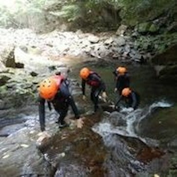 赤目四十八滝エコツアーデスクに投稿された画像（2020/8/31）