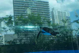 サンシャイン水族館に投稿された画像（2020/8/31）