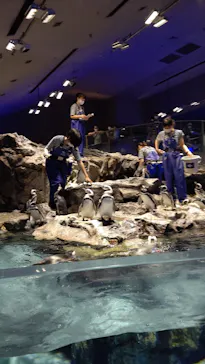 すみだ水族館に投稿された画像（2020/8/31）