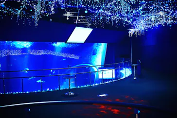 アクアワールド茨城県大洗水族館に投稿された画像（2020/8/31）
