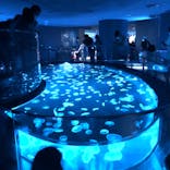 すみだ水族館に投稿された画像（2020/8/31）