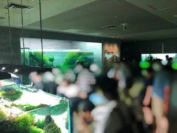 すみだ水族館に投稿された画像（2020/8/31）