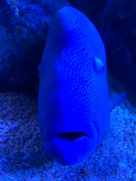 すみだ水族館に投稿された画像（2020/8/31）