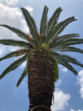 としまえんに投稿された画像（2020/8/31）