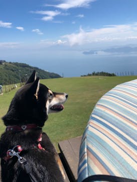 びわ湖バレイに投稿された画像（2020/8/31）