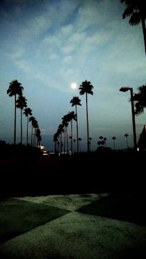 マリンワールド海の中道に投稿された画像（2020/8/31）