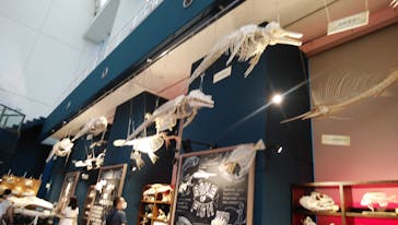 マリンワールド海の中道に投稿された画像（2020/8/31）