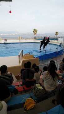 マリンワールド海の中道に投稿された画像（2020/8/31）