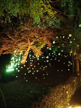 二条城×ネイキッド 二条城夏まつり2021に投稿された画像（2020/8/31）