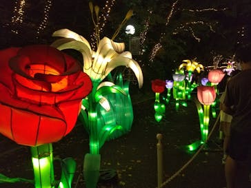 としまえんに投稿された画像（2020/8/31）