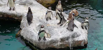 アクアワールド茨城県大洗水族館に投稿された画像（2020/8/31）