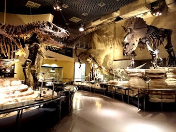 国立科学博物館に投稿された画像（2020/8/31）