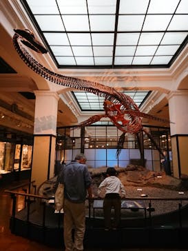 国立科学博物館に投稿された画像（2020/8/31）