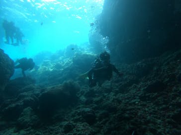 MalDive（モルダイブ）に投稿された画像（2020/8/31）