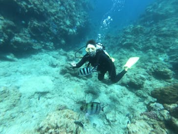 MalDive（モルダイブ）に投稿された画像（2020/8/31）