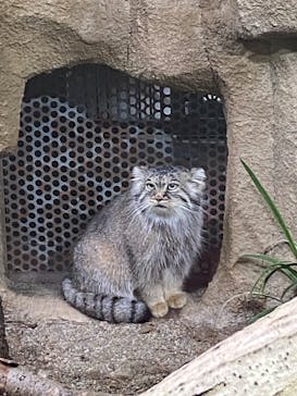 那須どうぶつ王国に投稿された画像（2020/8/31）