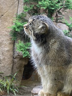 那須どうぶつ王国に投稿された画像（2020/8/31）