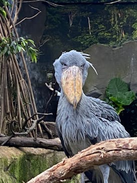 那須どうぶつ王国に投稿された画像（2020/8/31）