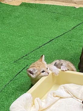 那須どうぶつ王国に投稿された画像（2020/8/31）