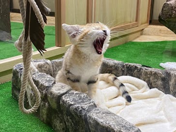 那須どうぶつ王国に投稿された画像（2020/8/31）