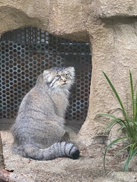 那須どうぶつ王国に投稿された画像（2020/8/31）