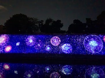 二条城×ネイキッド 二条城夏まつり2021に投稿された画像（2020/8/31）