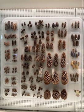 国立科学博物館に投稿された画像（2020/8/31）