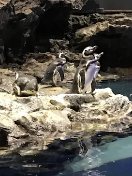 すみだ水族館に投稿された画像（2020/8/31）