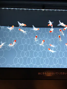 すみだ水族館に投稿された画像（2020/8/31）