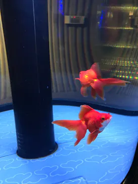 すみだ水族館に投稿された画像（2020/8/31）