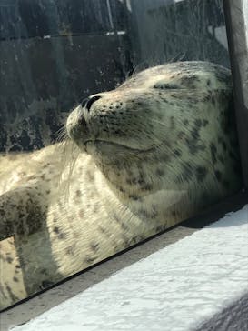 株式会社Gに投稿された画像（2020/8/31）