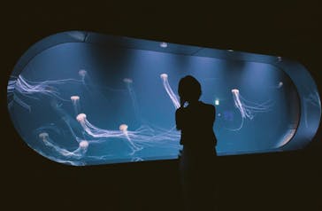 サンシャイン水族館に投稿された画像（2020/8/31）