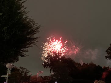 としまえんに投稿された画像（2020/8/31）