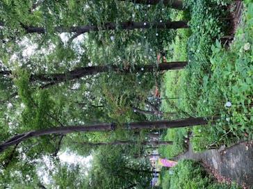 としまえんに投稿された画像（2020/8/31）