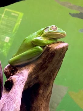 サンシャイン水族館に投稿された画像（2020/8/31）