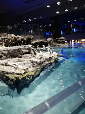 すみだ水族館に投稿された画像（2020/8/31）