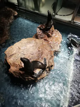 すみだ水族館に投稿された画像（2020/8/31）