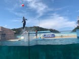 下田海中水族館に投稿された画像（2020/9/1）