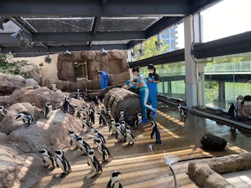 京都水族館に投稿された画像（2020/8/31）