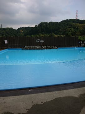 わんダフルネイチャーヴィレッジに投稿された画像（2020/8/31）