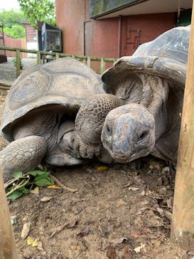 おきなわワールドに投稿された画像（2020/9/1）