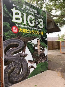 おきなわワールドに投稿された画像（2020/9/1）