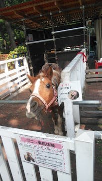 としまえんに投稿された画像（2020/9/1）