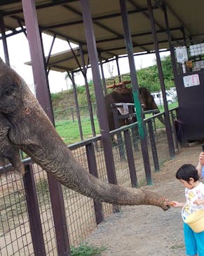 岩手サファリパークに投稿された画像（2020/9/1）