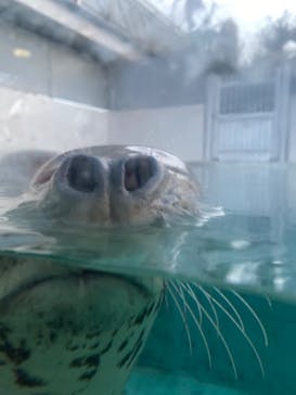 株式会社Gに投稿された画像（2020/9/1）