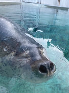 株式会社Gに投稿された画像（2020/9/1）