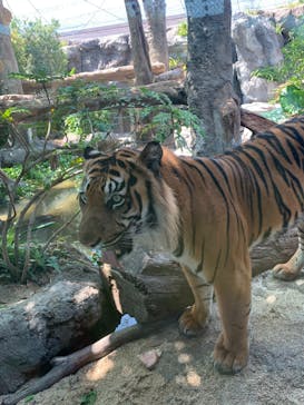 神戸どうぶつ王国に投稿された画像（2020/9/1）