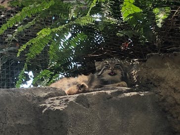 神戸どうぶつ王国に投稿された画像（2020/9/1）