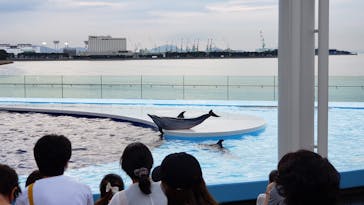 四国水族館に投稿された画像（2020/9/1）